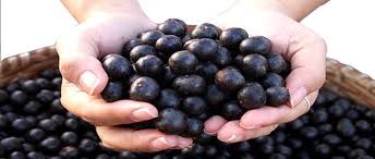 Acai Berry Benefits And Side Effects