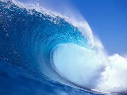 Waves most often refers to: Riding The Waves Tara Brach