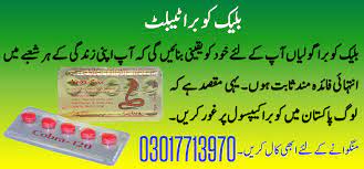 Pin On Megapakistan Pk