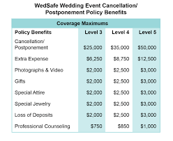 They offer event liability insurance with a very comprehensive. Wedding Cancellation Insurance And Event Cancellation Wedsafe