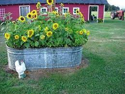 Horse Tank Flower Beds Galvanized Water Trough Flower Bed Lawn And Garden Backyard Garden Country Gardening