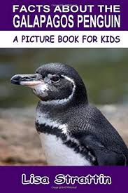 We collected some penguin coloring pages which are free to downpad and print. Facts About The Galapagos Penguin A Picture Book For Kids Strattin Lisa 9781537019956 Amazon Com Books