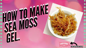 We'll cover how to make your own sea moss gel down below, but first, let's talk about the organic and wild varieties. How To Make Sea Moss Gel Youtube