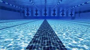 Hobby Swimming Swimming Pictures Swimming Olympic Swimming