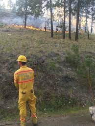1213 likes · 10 talking about this · 15 were here. Update Crews Continue Work At Penticton Wildfire Still Being Held At 2 5 Hectares