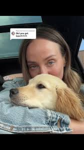 Heartwarming Golden Retriever Rescue Story