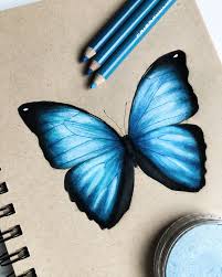 Easy butterfly drawing lets draw a butterfly easy butterfly drawing. Butterfly Drawing Prismacolor Art Butterfly Drawing Color Pencil Art