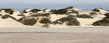By continuing you agree to our use of cookies. The Skeleton Coast National Park Exploring Africa