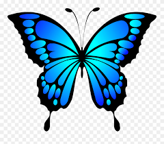 Butterfly Insect Blue Morpho Blue Butterfly Clipart 458574 Pinclipart Flowers clipart butterflies butterflies clipart flowers clipart butterflies flowers flower butterfly background decorative decoration floral symbol decor ornament ornate colorful element backdrop. butterfly insect blue morpho blue