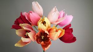 Déposez un cercle sur une plaque recouverte de papier sulfurisé. Crepe Paper Tulip Tulipe En Papier Crepon Trailer Youtube