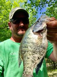 Knocked them out the box again. Time to clean...