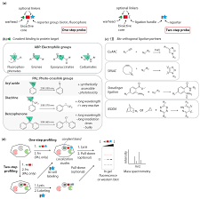 Molecules Free Full Text From Phenotypic Hit To Chemical Probe Chemical Biology Approaches To Elucidate Small Molecule Action In Complex Biological Systems Html