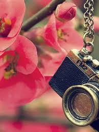 Download Free Others Wallpaper So Cute For Mobile Phones Cute Mobile Wallpapers Cute Wallpaper For Phone Mobile Wallpaper Search free cute wallpaper wallpapers on zedge and personalize your phone to suit you.