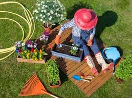 Free Jigsaw Puzzles Jigsaw Puzzle Games At Thejigsawpuzzles Com Play Free Online Jigsaw Puzzles Flower Jigsaw Puzzles Small Garden Design Flower Puzzles