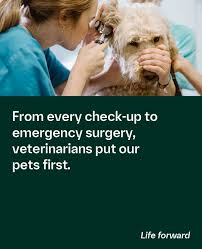 Boehringer Ingelheim US (@boehringerus) • Fotos y vídeos de Instagram