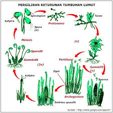 We did not find results for: Pertumbuhan Dan Perkembangan Makhluk Hidup