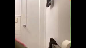 Pixxarmom Porno Visiting Her More Times