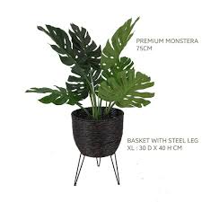 Boleh dapatkan pasu bunga yang dah siap di kaison, ada banyak pilihan yang menarik! Ready Stock Bakul Pasu Rotan Pokok Viral Pasu Bunga Hiasan Pasu Berkaki Rattan Weaving Basket With Leg Flower Tree Pot Shopee Malaysia