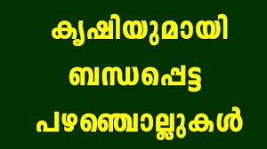 Indeed, the good old sayings, proverbs, usages, idioms and phrases in malayalam that were once part of regular conversations are fast disappearing into the oblivion. à´• à´· à´¯ à´® à´¯ à´¬à´¨ à´§à´ª à´ª à´Ÿ à´Ÿ à´ªà´´à´ž à´š à´² à´² à´•àµ¾ Krishi Proverbs Youtube