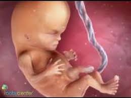Videos Babycenter