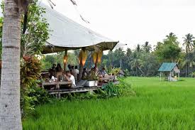  Best Coffee Shops In Bali Top 10 Best Cafes In Bali You Must Visit Living Nomads Travel Tips Guides News Information Coffee Shop Farm Cafe Cool Cafe