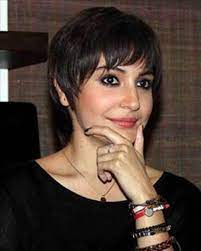 Pin On Short Indian Hairstyles