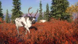 Entdecke die neuesten styles & fanartikel aus musik, film, serien & games. Neuer Alaska Dlc Yukon Valley Fur Thehunter Cotw