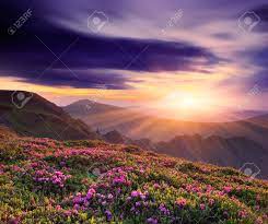 Here we list the most beautiful sunsets in the world, they really are a must see. Spring Landscape With A Beautiful Sunset In The Mountains And Stock Photo Picture And Royalty Free Image Image 18670848
