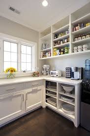 Kitchen Pantry With Open Shelving Transitional Kitchen Open Kitchen Shelves Open Shelving Kitchen Cabinets Sleek Kitchen Design