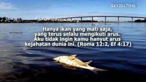 Lanjutkan membaca artikel di bawah. Download Hanya Ikan Mati Yang Berenang Mengikuti Arus Tutorial Kreasi Anak Bangsa