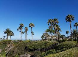 Maybe you would like to learn more about one of these? Treasure Island Park Laguna Beach Laguna Beach Community