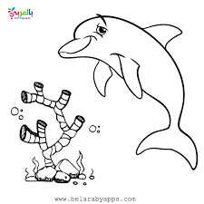 For toddlers, i recommend that you laminate the activities (this is the laminator i use) and use velcro dots (these transparent ones) on the loose pieces that the. Free Printable Sea Animals Toddler Coloring Page Belarabyapps
