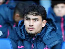 Indonesian-made RCWS for defense self-reliance