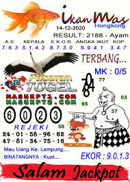 Pin Di Syair Ikan Mas Togel