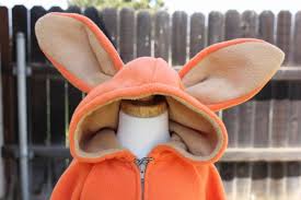 Reserved Lost Boy Fox Costume Peter Pan By Caitsboutique On Etsy Fox Costume Peter Pan Lost Boys