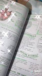 Pin On School Hacks