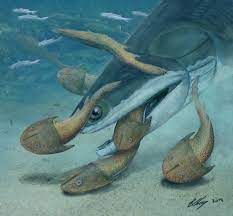 423 Million Year Old Fish Was Once Earth S Largest Vertebrate The Predatory Sea Creature Dubbed Megamastax Amblyodus Which Means Big Prehistoric Animals Vertebrates Prehistoric World
