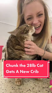 Its what you’ve all been waiting for... Chunk, our 28 lb cat, gets his own  apartment! #catrescue #catshelter #overweightcat #fatcat #catsoftiktok #fyp