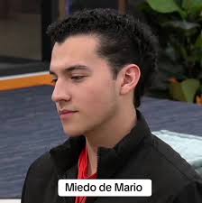 Save Me Mario Brandon