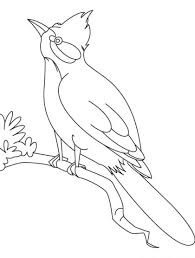 There, your children will see many kinds of birds that will be able to enrich their knowledge. A Nightingale Bird Watching Coloring Page Download Free A Nightingale Bird Watching Coloring Page Bird Coloring Pages Animal Coloring Pages Nightingale Bird