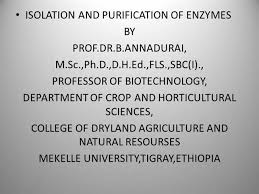 Isolation And Purification Of Enzymes Authorstream