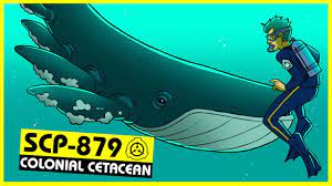 SCP-879 | Colonial Cetacean (SCP Orientation) - YouTube
