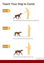 How To Train Your Dog To Stay Home Alone And Pics Of How To Train A Dog To Attack Cats Tip 5595919 Dog Training Obedience Dog Training Puppy Training