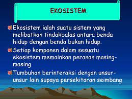 Ekosistem hutan mempunyai kitaran yang kompleks yang. Kepentingan Hutan