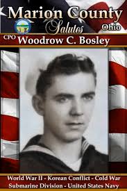 Marion County Ohio Military Banner Tribute