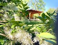 Outdoor Yoga - Daniel Boone Native Gardens