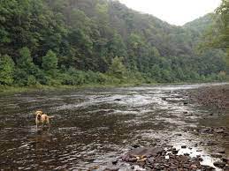 Watoga State Park Campground Map Greenbrier River From Watoga Campground Gorgeous Picture Of Watoga State Park Marlinton Tripadvisor