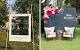 Rustic Backyard Engagement Party