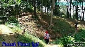 Check spelling or type a new query. Bukit Kembar Puncak Pinus Loji Karawang Youtube
