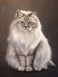 38 Facebook Cat Art Cat Artwork Cat Portraits